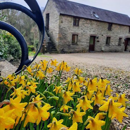 Troedyrhiw Holiday Cottages Cardigan Exterior foto