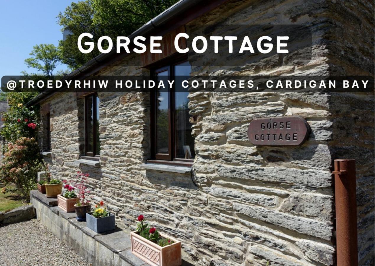 Troedyrhiw Holiday Cottages Cardigan Exterior foto