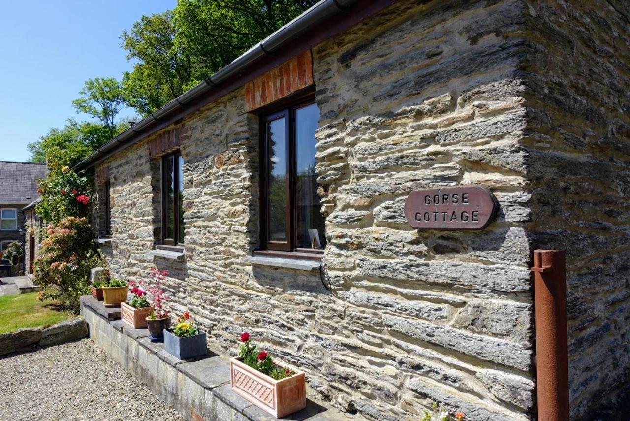 Troedyrhiw Holiday Cottages Cardigan Exterior foto