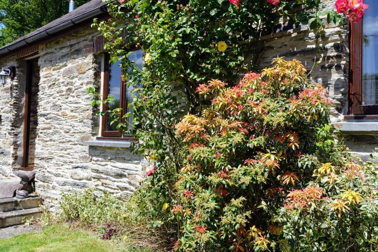 Troedyrhiw Holiday Cottages Cardigan Exterior foto