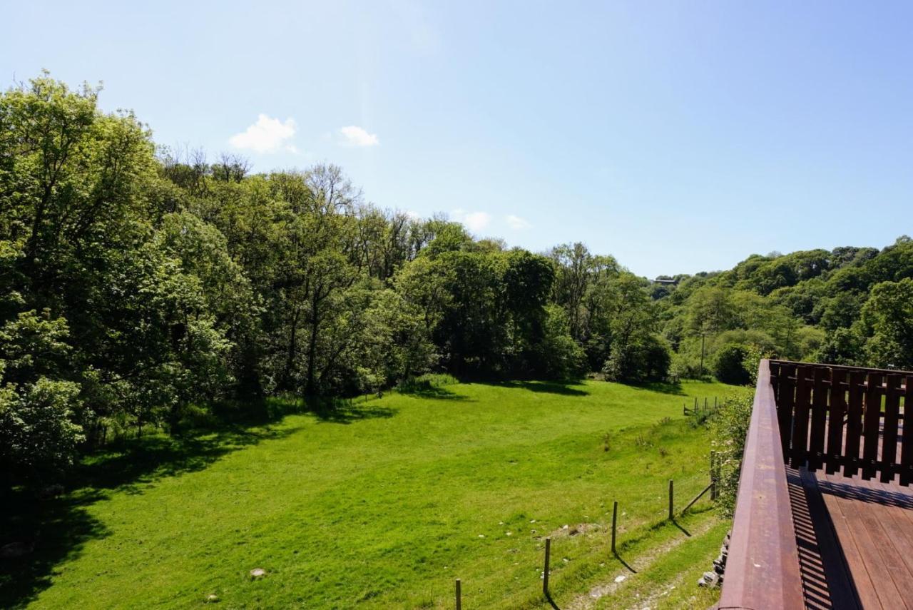 Troedyrhiw Holiday Cottages Cardigan Exterior foto